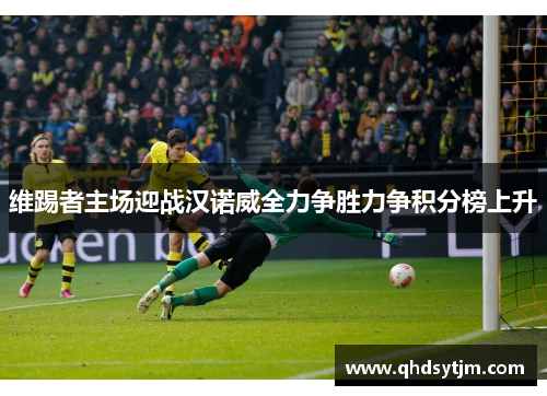 维踢者主场迎战汉诺威全力争胜力争积分榜上升